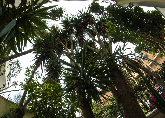 豪华住宿加早餐旅馆 住宿加早餐酒店