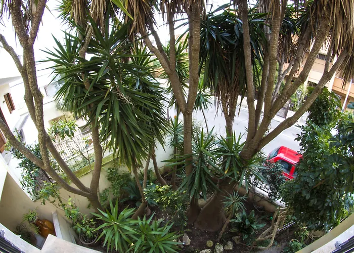 豪华住宿加早餐旅馆 住宿加早餐酒店 3*