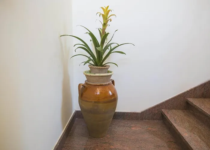 豪华住宿加早餐旅馆