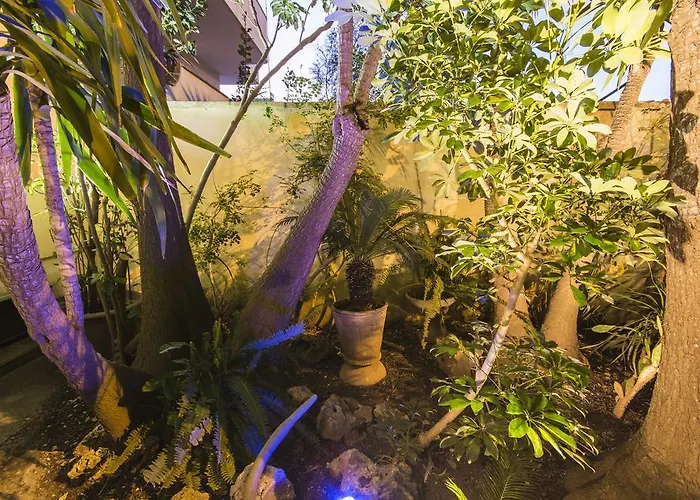 住宿加早餐酒店 豪华住宿加早餐旅馆