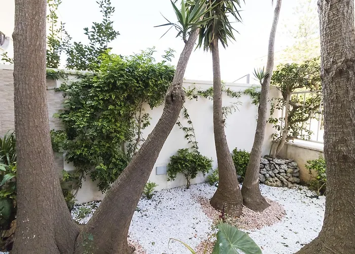 豪华住宿加早餐旅馆 住宿加早餐酒店