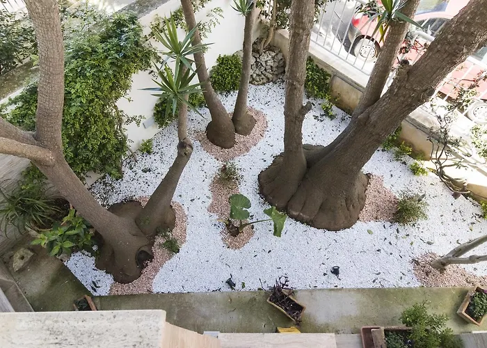 豪华住宿加早餐旅馆 住宿加早餐酒店