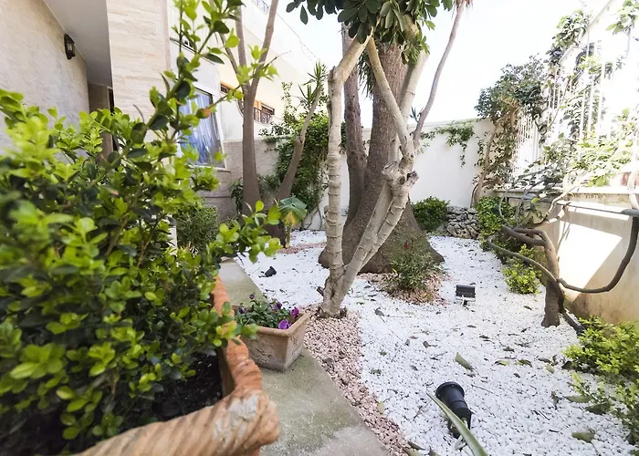 豪华住宿加早餐旅馆