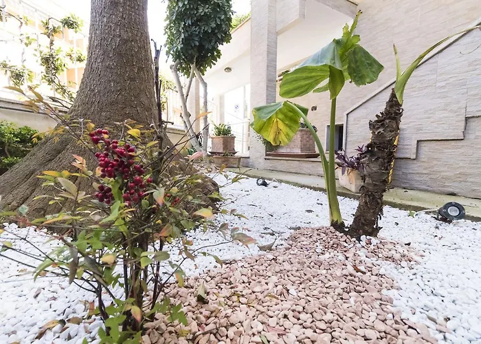 豪华住宿加早餐旅馆 住宿加早餐酒店
